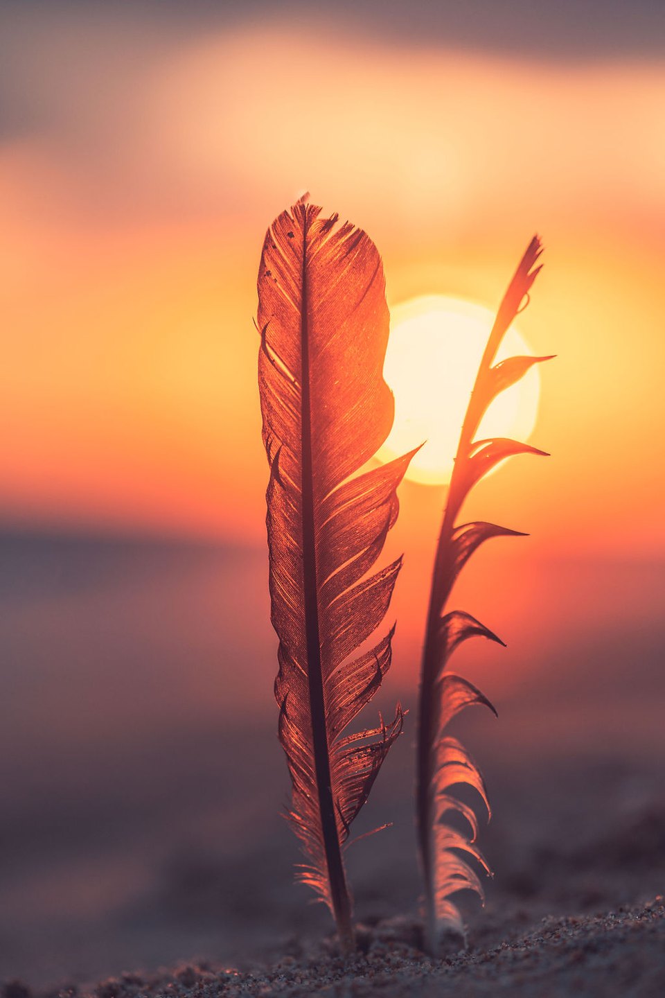 September Sunset — seascapes limited edition fine art print by Joseph Barber, Newport Beach, California