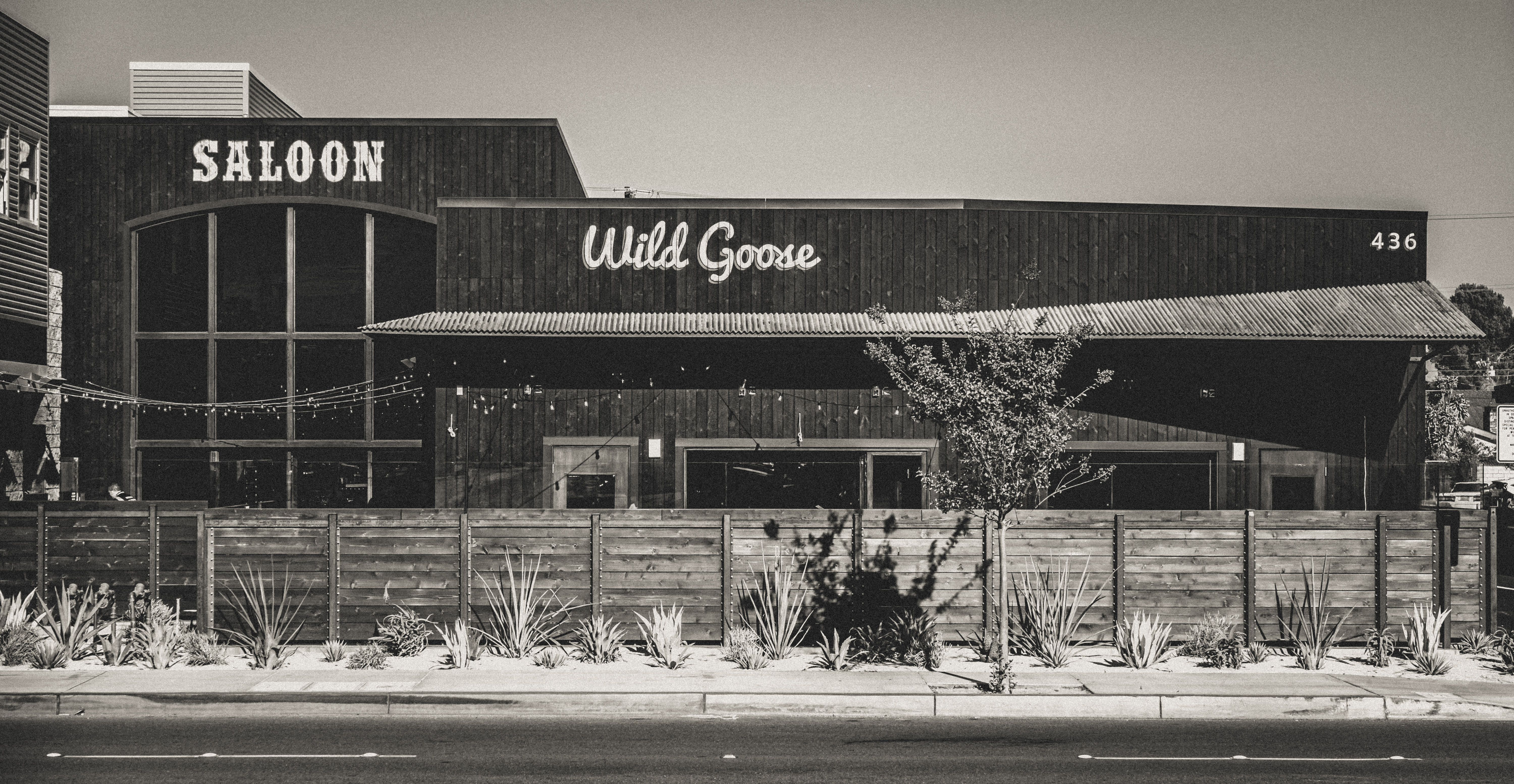 Wild Goose Costa Mesa interior photography